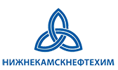 Нижнекамскнефтехим (1)
